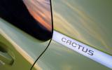 Citroen C4 Cactus vs the desert - picture special 