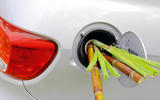 Bamboo shoots in car