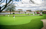 Thermal Raceway 2020 - golf green Thermal Raceway 2020 - golf green