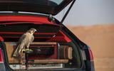 Mulliner falconry