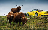 Porsche Boxster T 2019 - static rear Porsche Boxster T 2019 - static rear