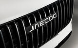 1 JAECOO 7 grille