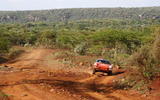 1 retro safari  S11 0539 fine