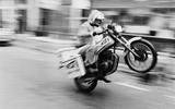 Damon Hill Damon Hill