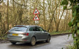 Deer collisions feature pics 