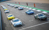 Alpines lined up  Alpines lined up