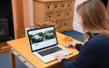 Buying cars online