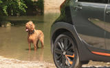 83 toyota aygo x DOG 83 toyota aygo x DOG