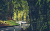 90 A911 on the A911 feature trees 90 A911 on the A911 feature trees