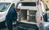 92 dog van 92 dog van
