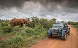 Mercedes-Maybach G650 Landaulet next to an elephant