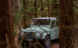 Bedeo Defender front woods 2 Bedeo Defender front woods 2