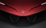 Bizzarrini nose Bizzarrini nose