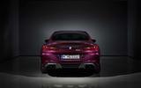 BMW M8 Gran Coupe