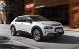 C4 Cactus