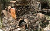 Rust car