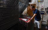 RBLI Sign Factory
