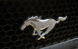 Ford Mustang Ford Mustang