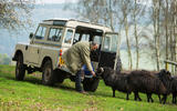 1981 Land Rover Series III