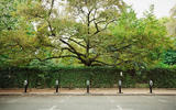kerb01 2 kerb01 2