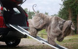 Land Rover Pet Packs revealed as official accessories