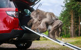 Land Rover Pet Packs revealed as official accessories