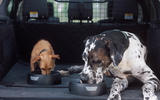 Land Rover Pet Packs revealed as official accessories