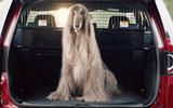Land Rover Pet Packs revealed as official accessories