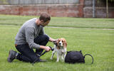 Land Rover Pet Packs revealed as official accessories