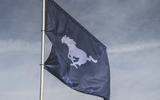 Mustang flag