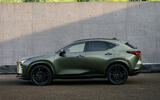 nx350h luxury statics 003