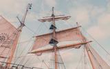 Pelican of London mast