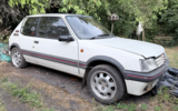 Peugeot 205 lead