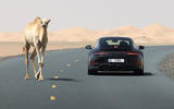 Porsche 911 hybrid prototype testing next to camel
