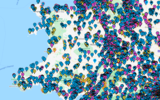 Zapmap