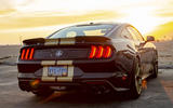 Shelby future plans