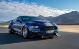 Shelby future plans