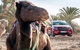 Skoda Enyaq morocco Skoda Enyaq morocco
