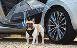 Skoda Superb dog umbrella