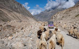 The Adventurists take on Rickshaw Run Himalaya