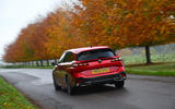 Peugeot 308 rear with orange trees Peugeot 308 rear with orange trees