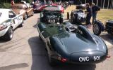 Driving the Jaguar D-type at Goodwood