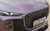 Lepas L8 front grille