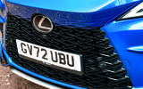 Lexus RX500h grille Lexus RX500h grille