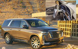 CURVED OLED: Cadillac Escalade (2020)