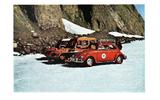 The Beetle in Antarctica (1963) The Beetle in Antarctica (1963)