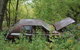 AMC GREMLIN AMC GREMLIN
