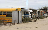 BUSES