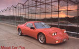 Gold Cirrus (1988)