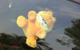 Garfield Garfield